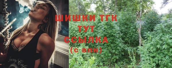 прущий лед Бородино
