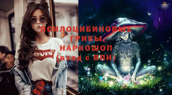 прущий лед Бородино