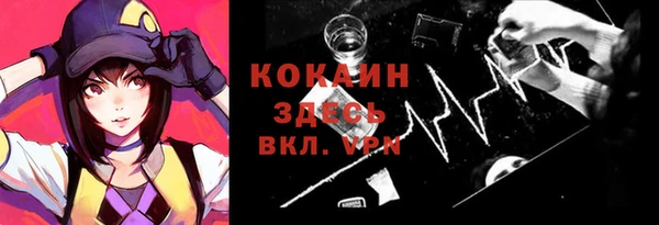 прущий лед Бородино