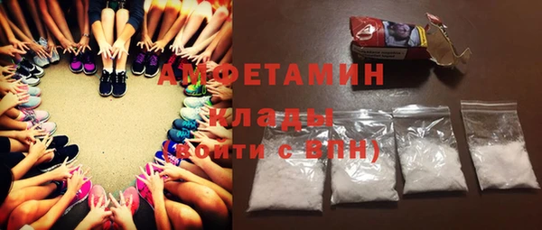 прущий лед Бородино