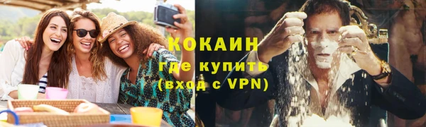 прущий лед Бородино