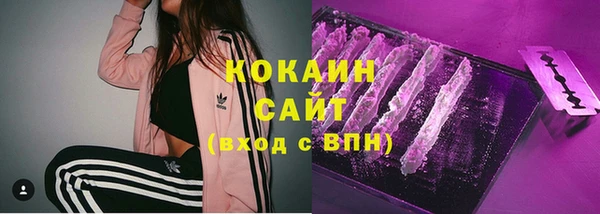 прущий лед Бородино
