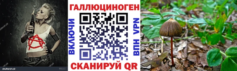 Галлюциногенные грибы Magic Shrooms  купить наркоту  Новохопёрск 